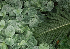 DSC02357a